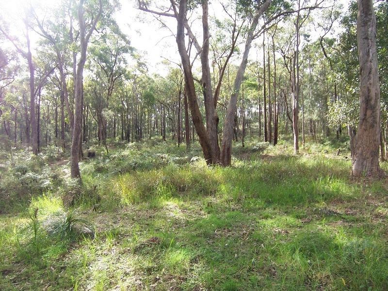 Mirrabooka NSW 2264