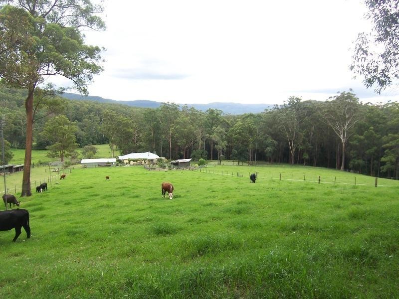 Martinsville NSW 2265