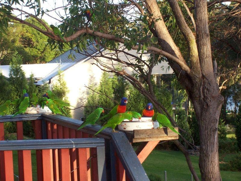 Brightwaters NSW 2264
