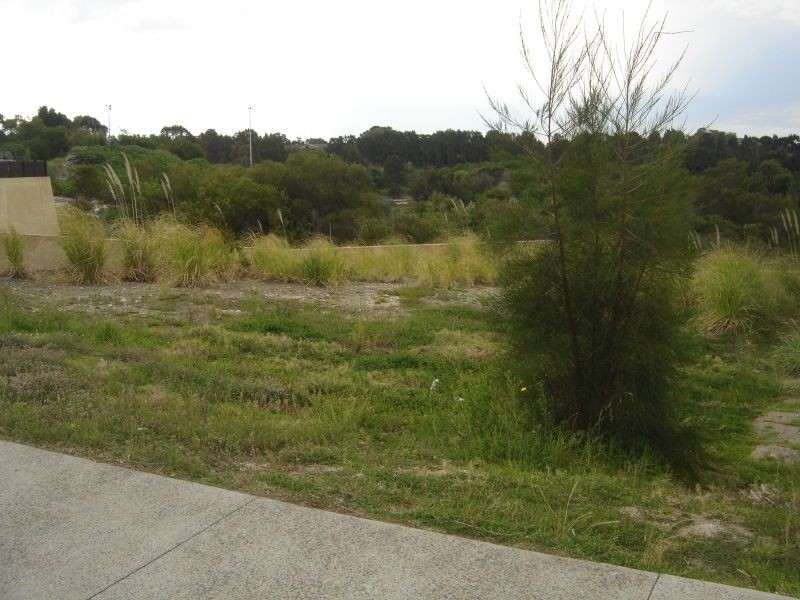 48 Gubbuteh Road, Little Bay NSW 2036