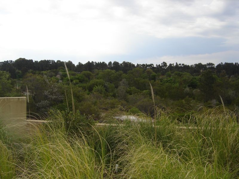 48 Gubbuteh Road, Little Bay NSW 2036