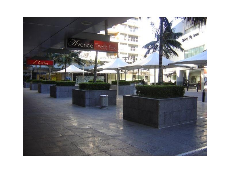 5 Potter Street, Waterloo NSW 2017