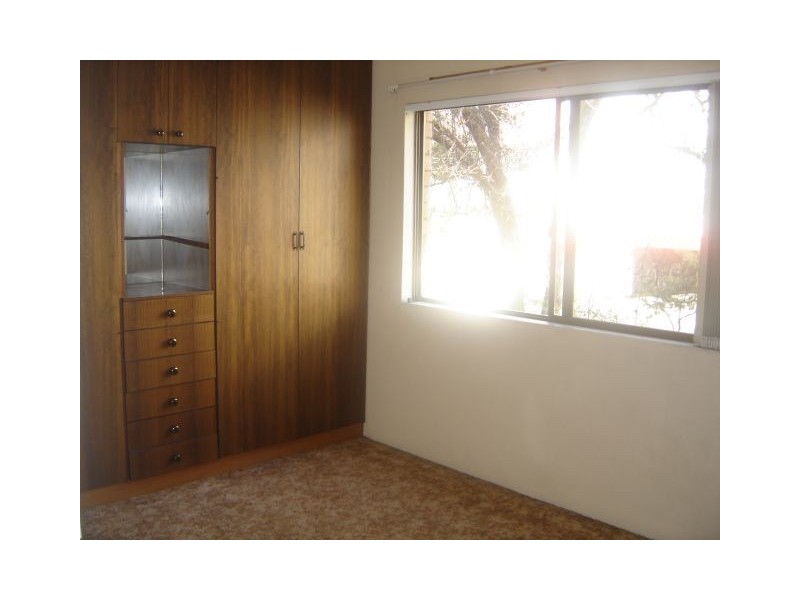 11-15 Wilga Street, Burwood NSW 2134