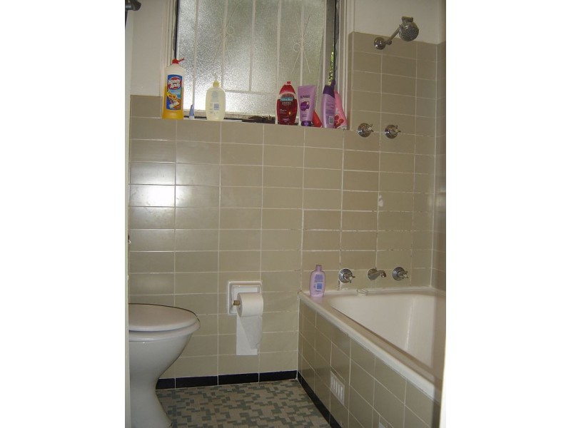 62 Elizabeth Street, Ashfield NSW 2131