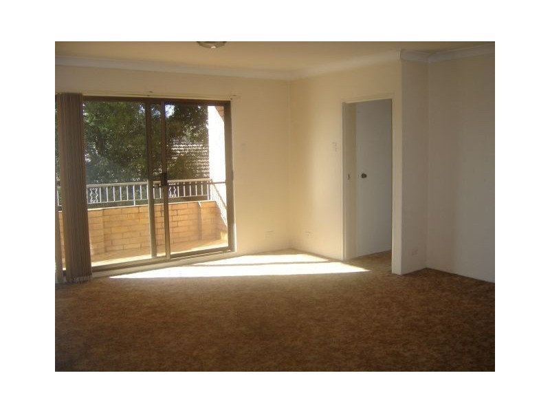 11-15 Wilga Street, Burwood NSW 2134