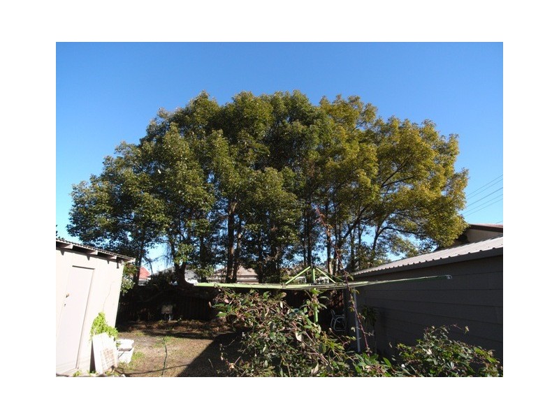 36 Kerr Street, Mayfield NSW 2304