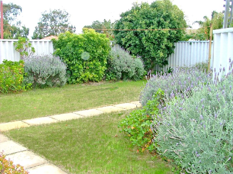 8 Coodanup Drive, Coodanup WA 6210