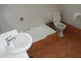 3/21 Burton st, Concord NSW 2137