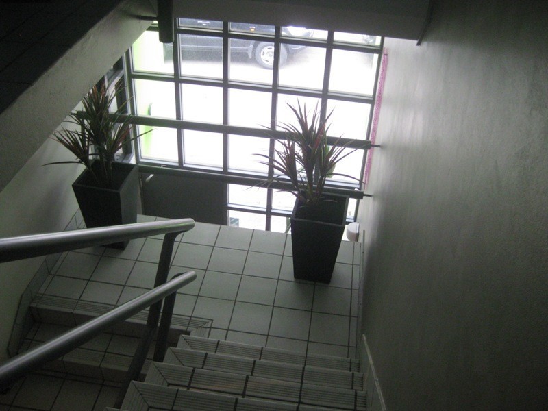 26 Spark Street, Camperdown NSW 2050