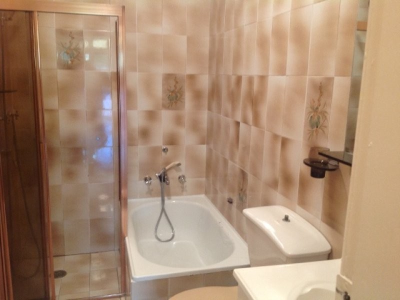 103a Dalhousie Street,, Haberfield NSW 2045