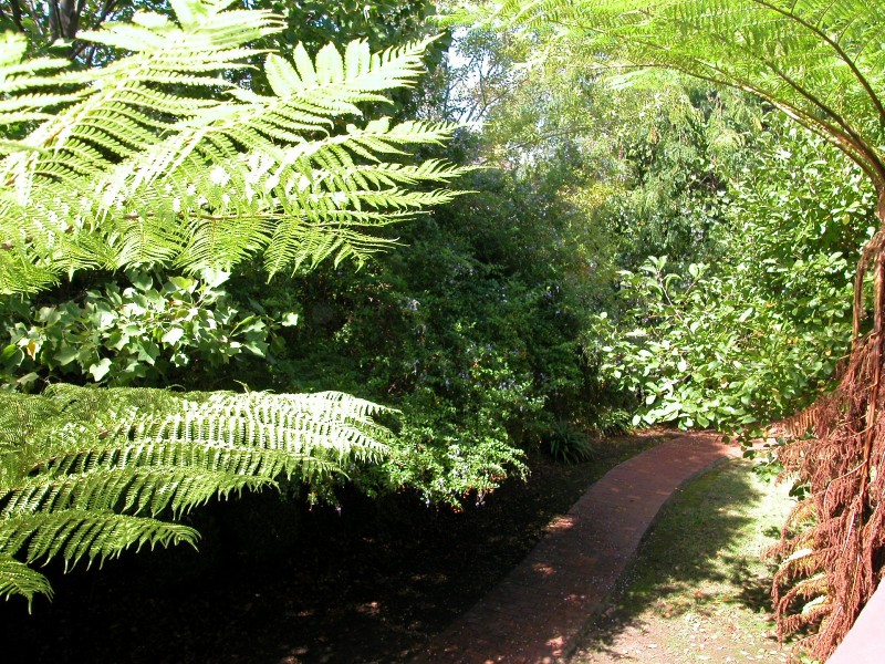 3/59 Garfield St, Five Dock NSW 2046