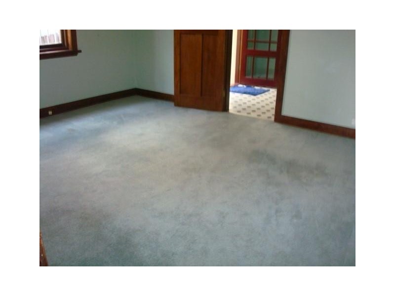 13 Plowman Street, Bondi NSW 2026