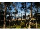 Gorokan NSW 2263