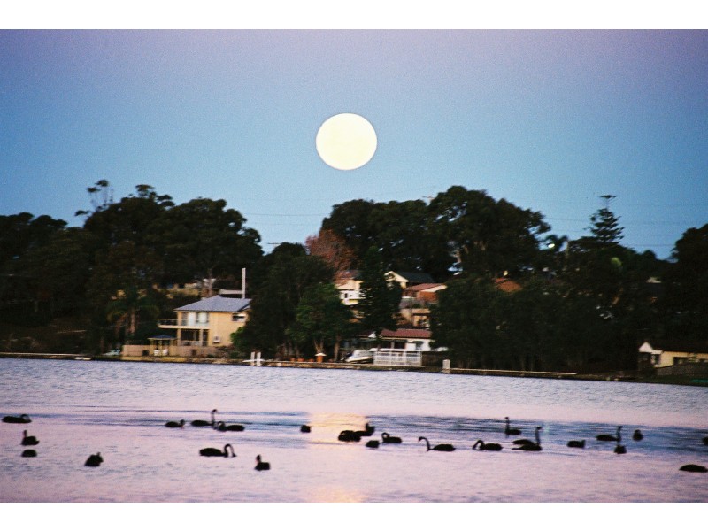 Gorokan NSW 2263