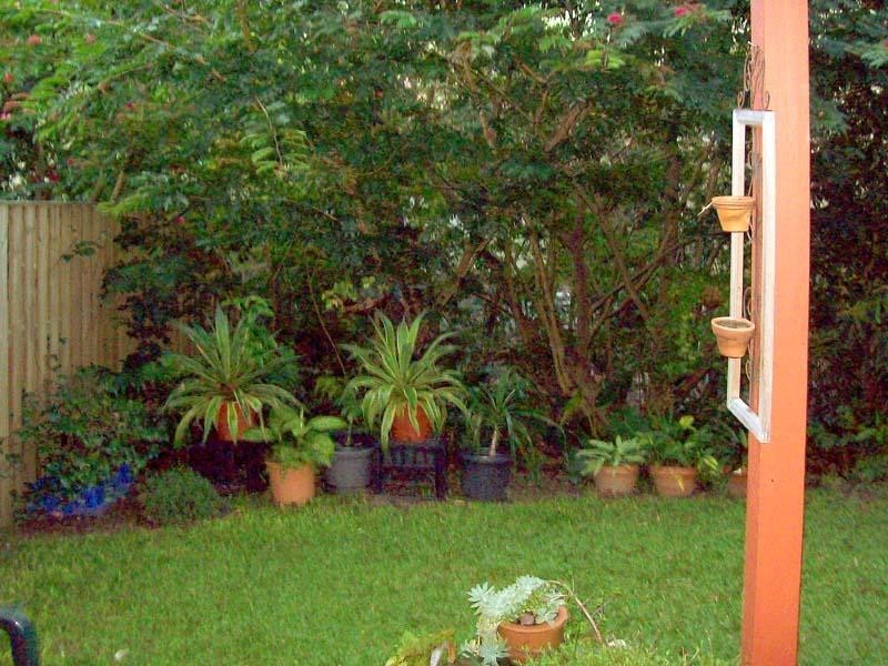 10 Bridgman Drive, Reedy Creek QLD 4227