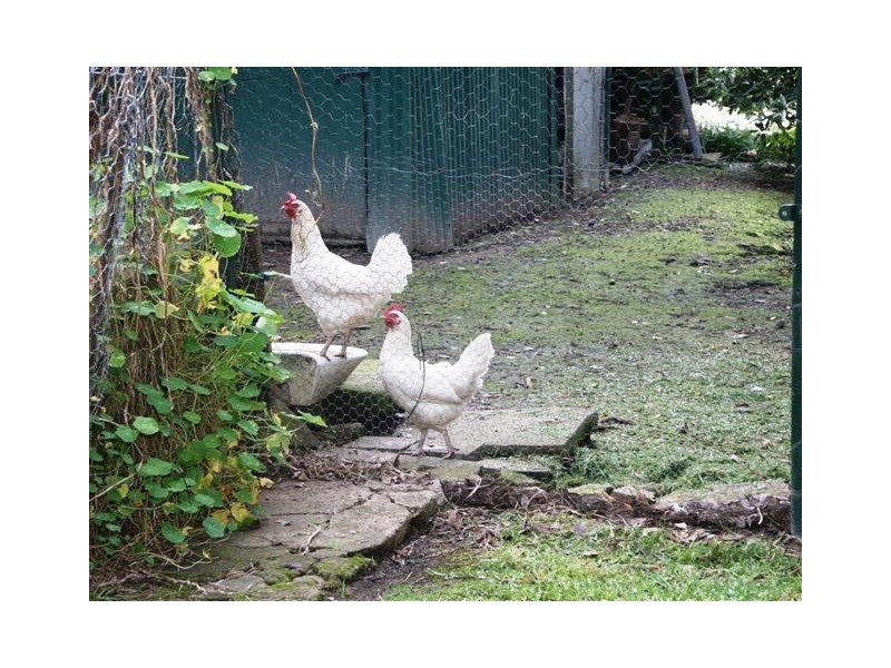 514 Great Western Highway, Faulconbridge NSW 2776