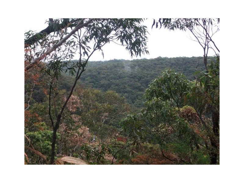 228-278 Chapman Pde, Faulconbridge NSW 2776