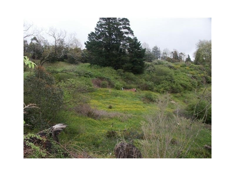 5 Whitton Street, Katoomba NSW 2780