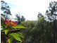 Springwood NSW 2777