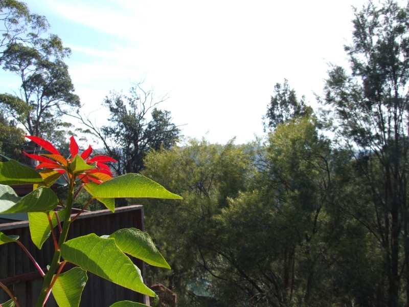 Springwood NSW 2777