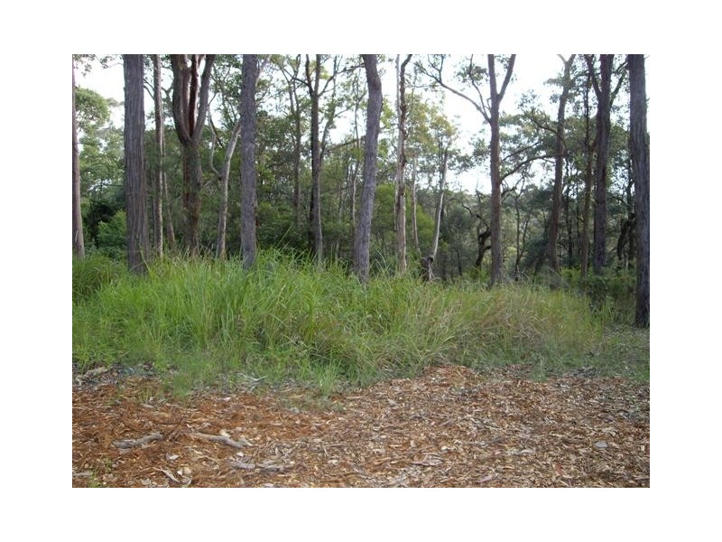 Winmalee NSW 2777