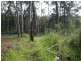 Winmalee NSW 2777