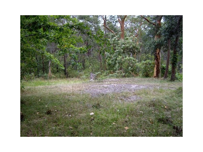 Springwood NSW 2777