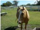 Bundaberg QLD 4670
