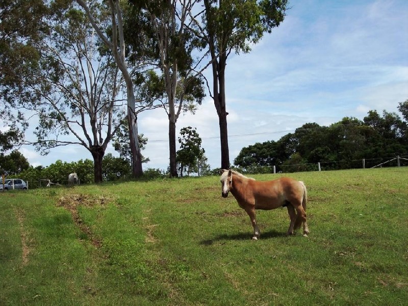 South Kolan QLD 4670