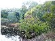 Apple Tree Creek QLD 4660