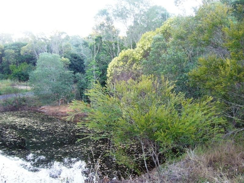 Apple Tree Creek QLD 4660