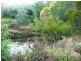 Apple Tree Creek QLD 4660