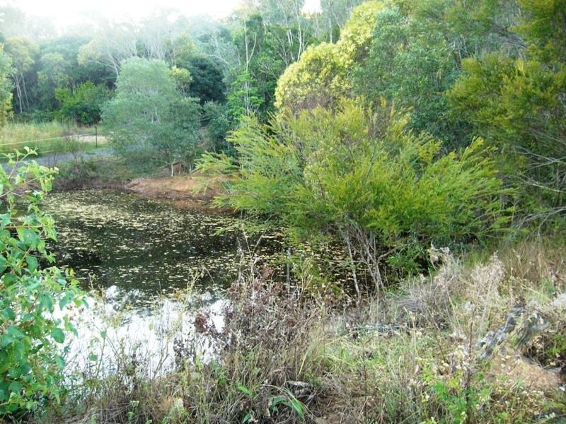Apple Tree Creek QLD 4660