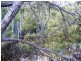 Apple Tree Creek QLD 4660