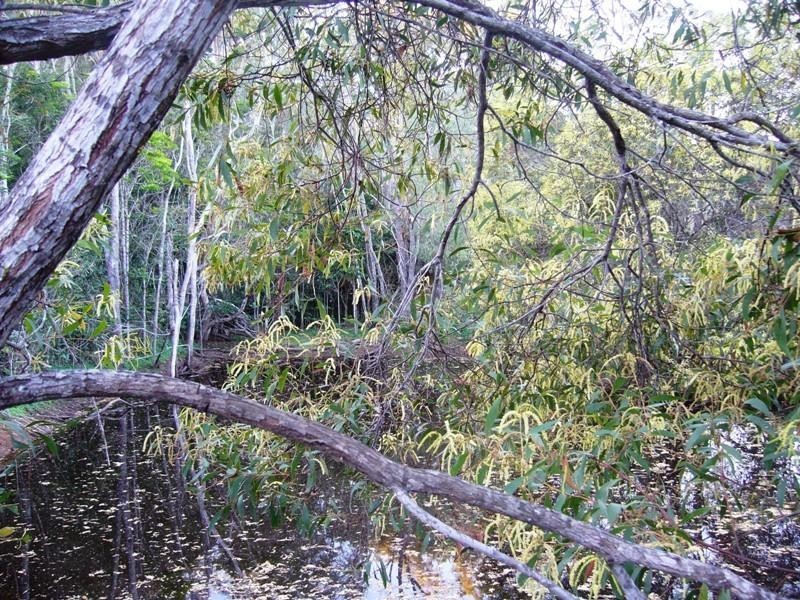 Apple Tree Creek QLD 4660