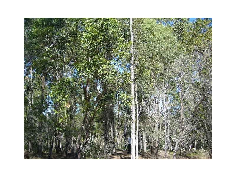 Apple Tree Creek QLD 4660