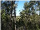 Apple Tree Creek QLD 4660