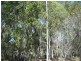 Apple Tree Creek QLD 4660