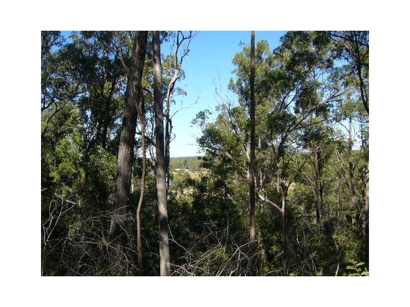Apple Tree Creek QLD 4660