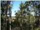 Apple Tree Creek QLD 4660
