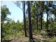 Apple Tree Creek QLD 4660