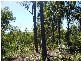 Apple Tree Creek QLD 4660