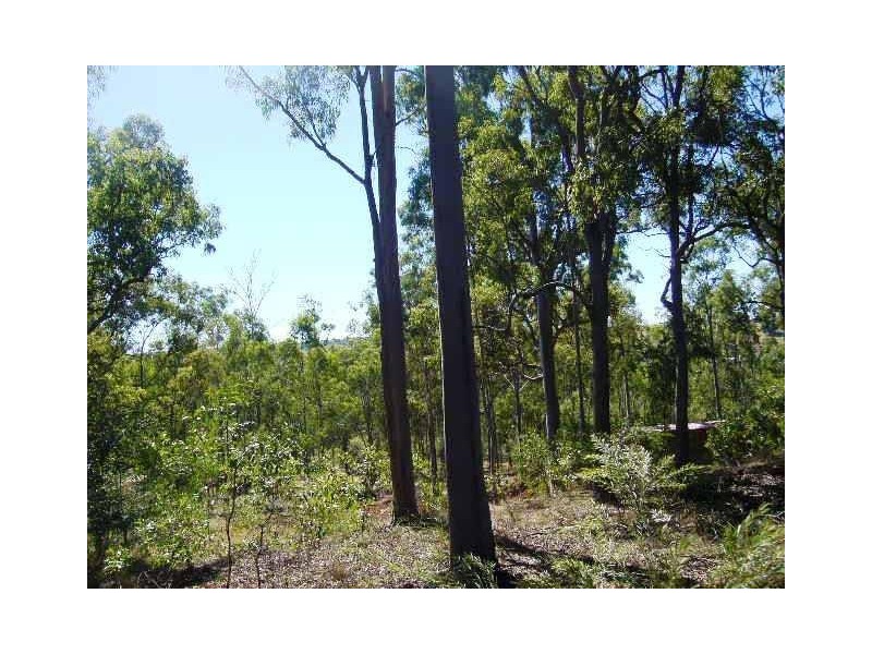 Apple Tree Creek QLD 4660