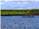 Childers QLD 4660