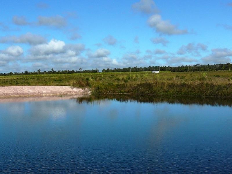 Farnsfield QLD 4660