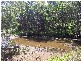 South Kolan QLD 4670