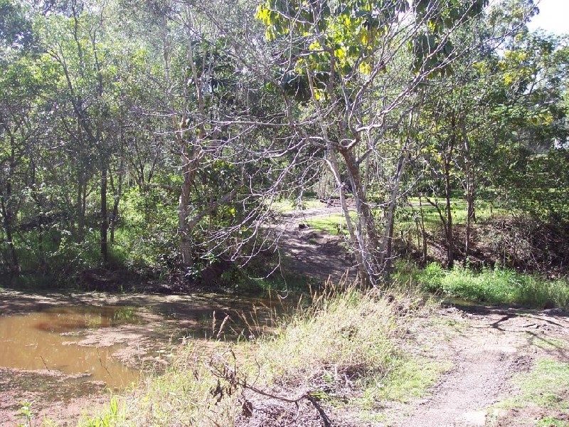 South Kolan QLD 4670