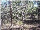 South Kolan QLD 4670