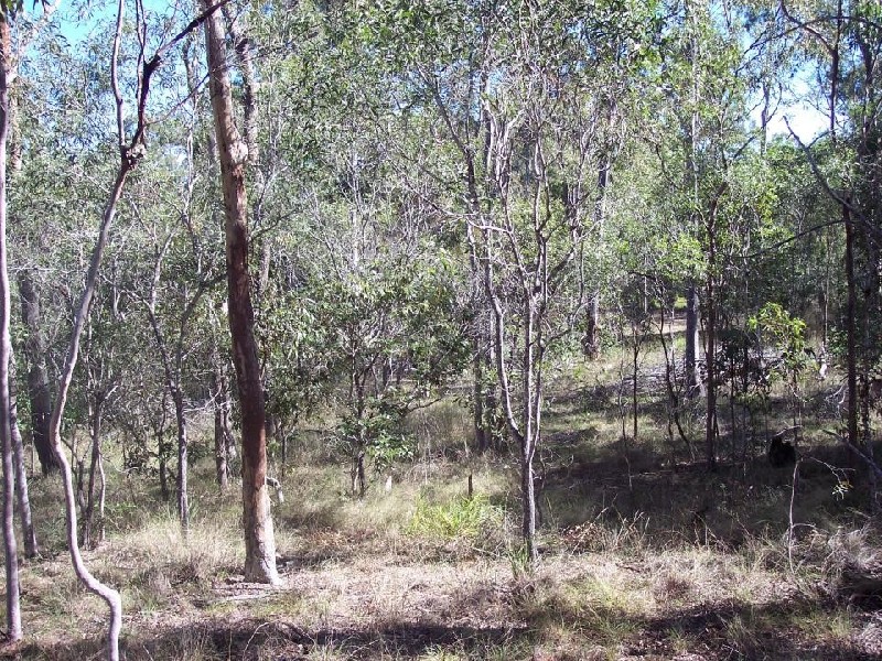 South Kolan QLD 4670
