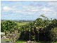The Hummock QLD 4670